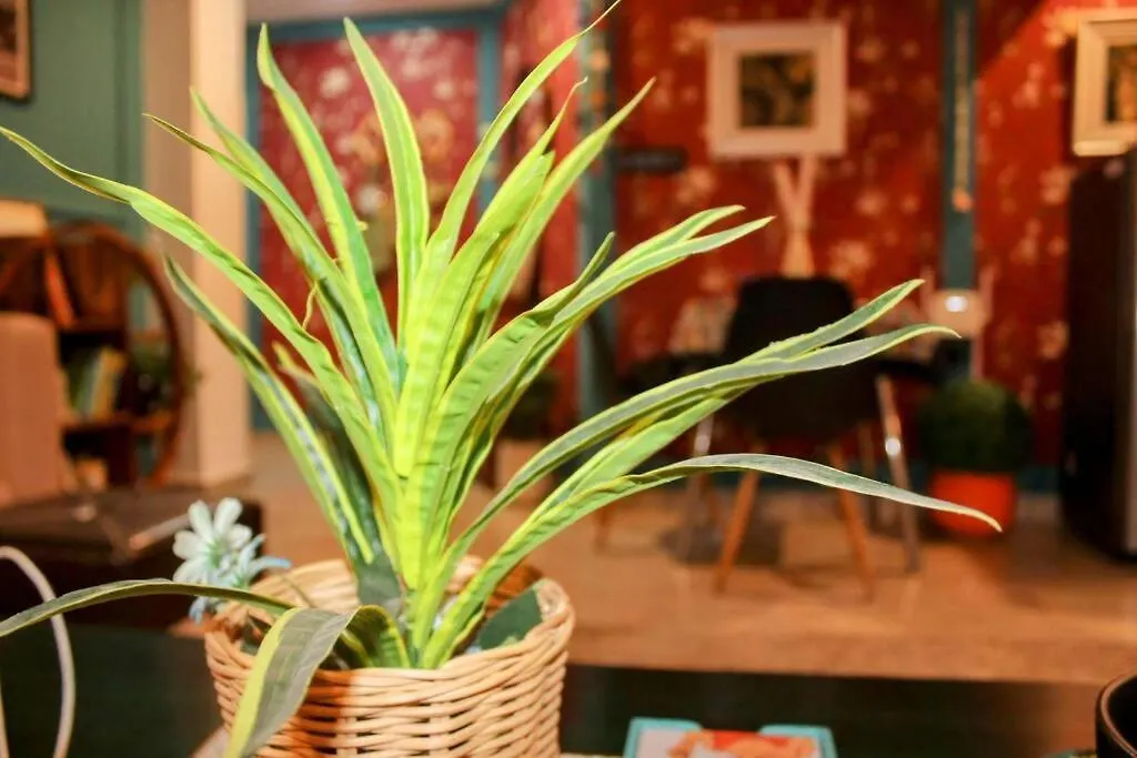 Troy - Cozy Studio Haven, Free Parking And Wi-Fi Gurgaon Apartament